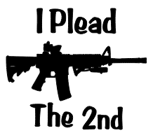 I PLEAD the 2ND VINYL DECAL